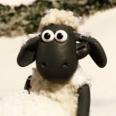 포천 팜스플랜 | 포천 가볼만한곳 '마이애니멀스토리 평강랜드' 후기