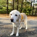 견우동물병원 이미지