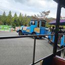 벅스패밀리 | 🦋 광주패밀리랜드 + 벅스랜드 + 동물원 다녀온 후기 🌳