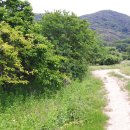 신세기공인중개사사무소 이미지