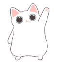 그루밍캣 압구정점 이미지