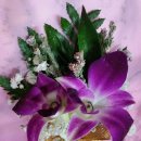 테크노 꽃나라 이미지