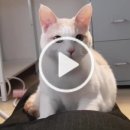 느낌안마시술소 이미지