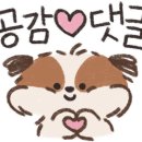 김영희니트 이미지