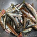 고기백화점 이미지