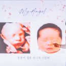 사진관봄날애
