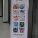 셀리케이크