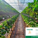 세광농장 이미지