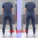 인체균형연구소