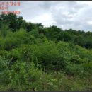 금마면 고정마을회관 이미지