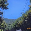 강나루하얀집 이미지