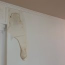 성저마을14단지(20561) | 일산도배 정확한 진단, 꼼꼼한 시공을 해주는 곳 스마일도배