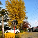 연자방아 이미지