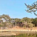 여주-0007 이미지