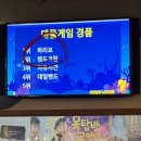 잡아잡아낚시카페 | 착한붕어낚시카페 ㅣ 혜화역 놀거리 추천 7마리 잡은 낚시카페 체험 후기