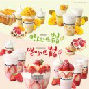 요거프레소 디지털타임스