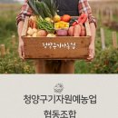 청양구기자원예농업협동조합 | 청양구기자 청양구기자원예농업협동조합 소개