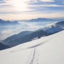 2025년 최신 개인회생·개인파산 제도 변화 총정리 이미지