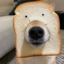 예원에너지(주) 이미지