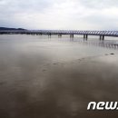 낙동강관리본부 대저생태공원 7 뉴스1