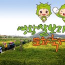 제5회 영광 찰보리 문화축제 이미지