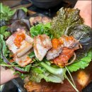 고기가조아 이미지