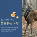 해맑은동의보감한의원 네이버블로그