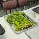 삼부자미나리 이미지