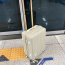 젠틀리조트 | 겨울 제주도 여행 추천 2박3일 :: 1일차 - 렌트카,무지개해안도로,성이시돌목장,협재해수욕장,마돈가제트