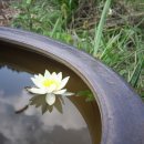 영농산업 이미지