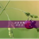 덕촌1천 이미지