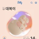 대복청소