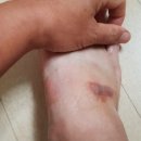 지리산자연인