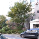 연세u치과의원 이미지