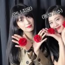 지수언니