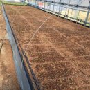 영진농장 이미지