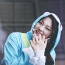카페못 Daum카페
