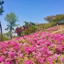 선학산전망대 이미지