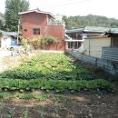 성자 농장 이미지