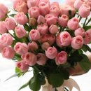 더 피올라 플라워 이미지