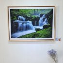 수 갤러리&카페 이미지