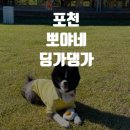 딩가댕가 이미지