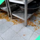 가마산로46길 이미지