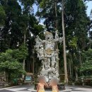 명 상 | 발리 상에 몽키 포레스트 입장료·후기｜우붓보다 순했던 원숭이들