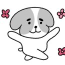 밸리1961 이미지