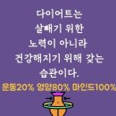 스타점핑&온열다이어트