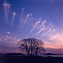 저녁나절 이미지