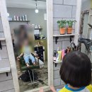 헤어까꼬뽀꼬 이미지