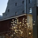 하압 | 압구정 우모크 디너 방문기 🥩🍴(한우 오마카세라니..!!)