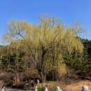 목련약국 이미지